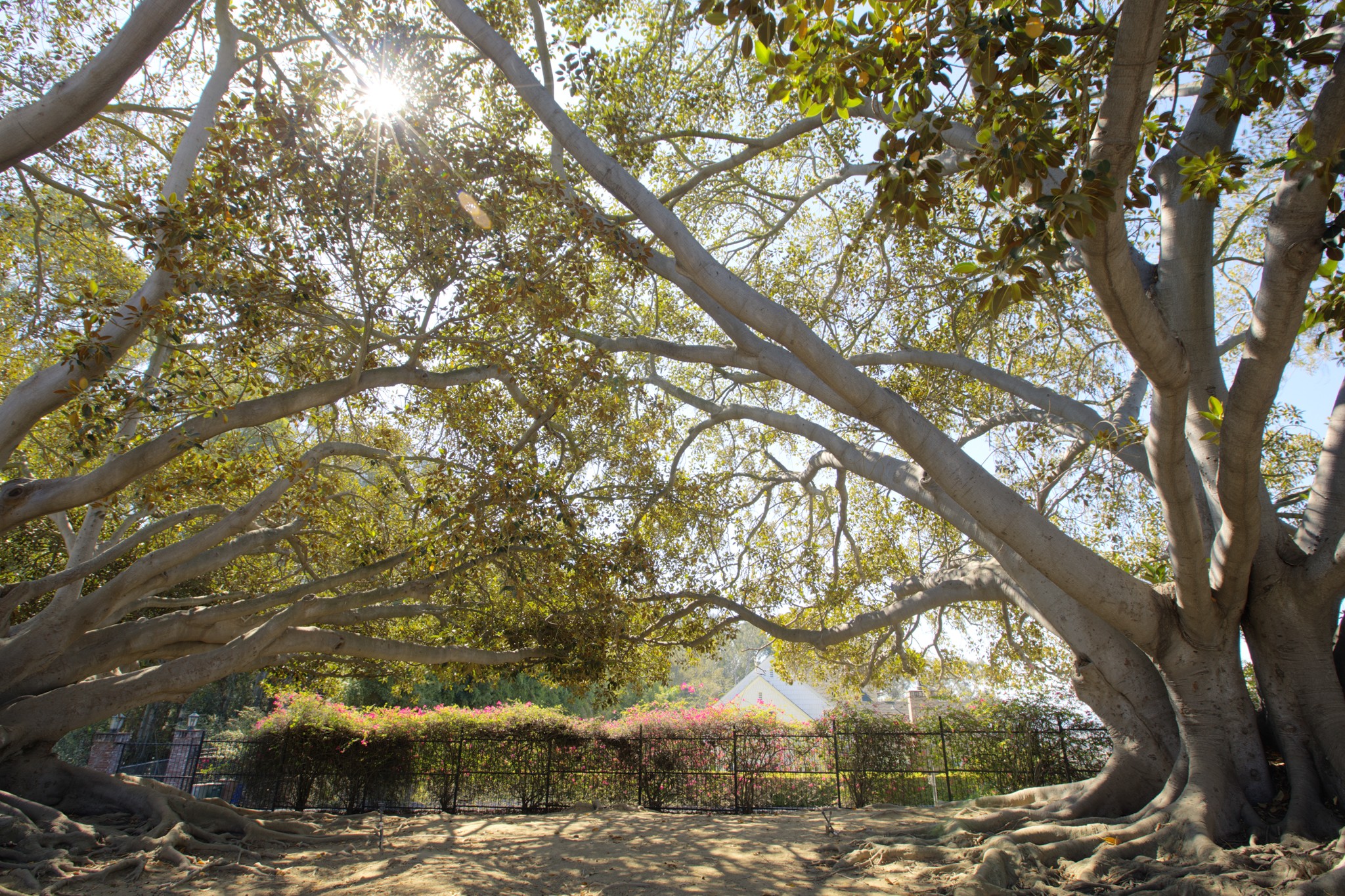 Vista del Mar Hospital cover image