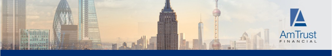 AmTrust Financial Services, Inc. cover image