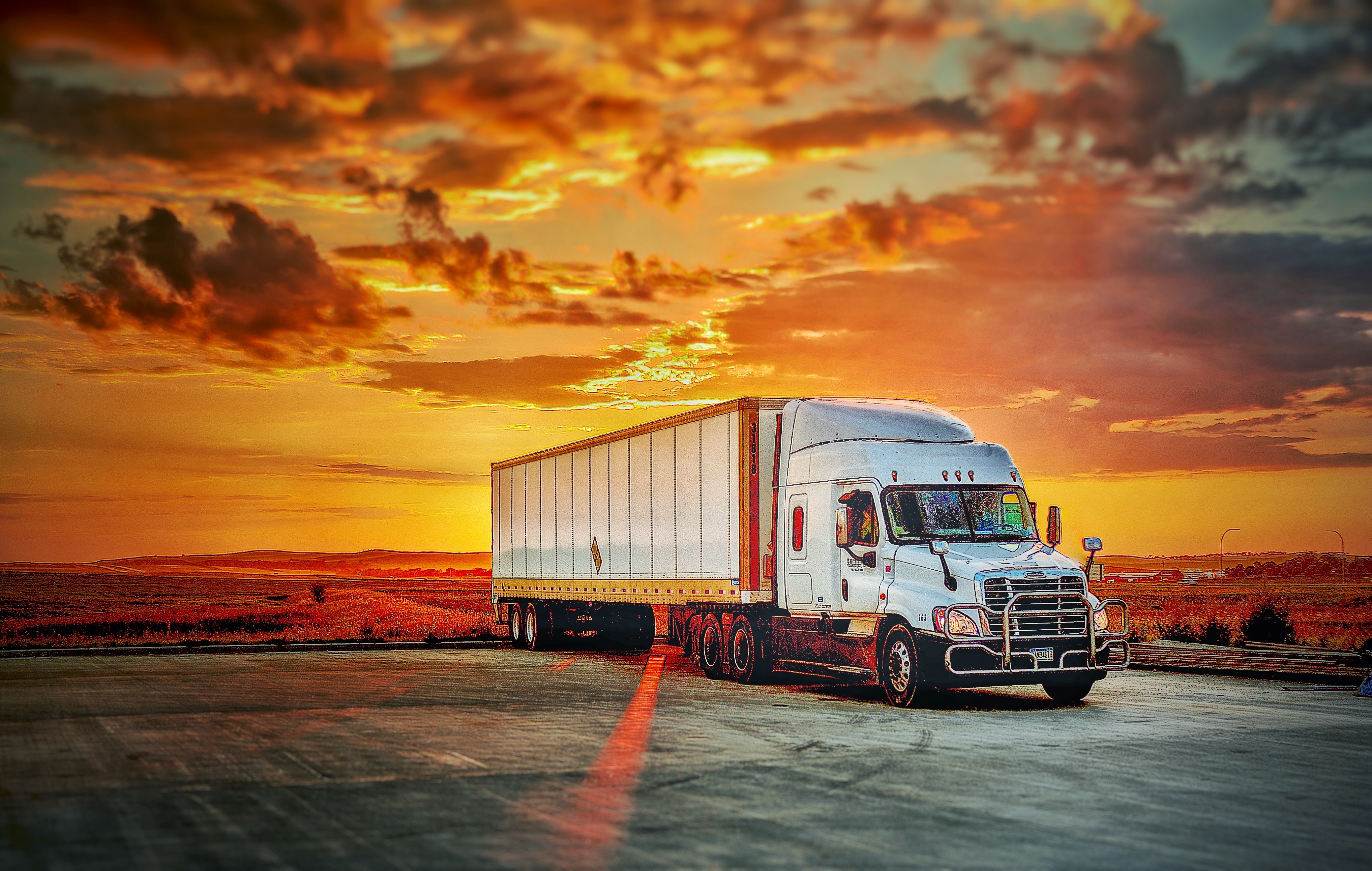 Terminal Transport Inc cover image