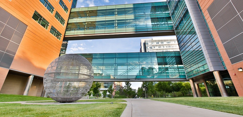 CU Anschutz Department of Medicine cover image