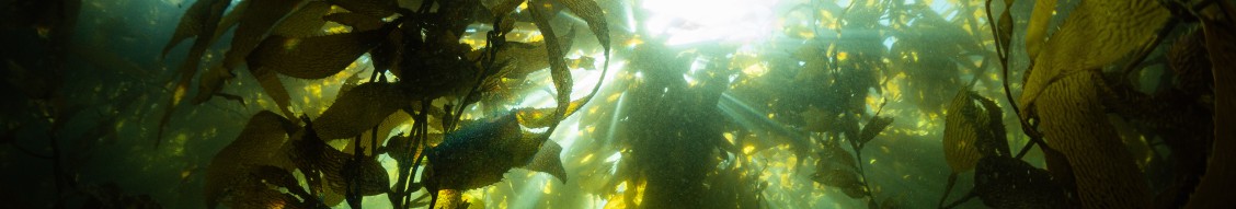 Por el Mar cover image