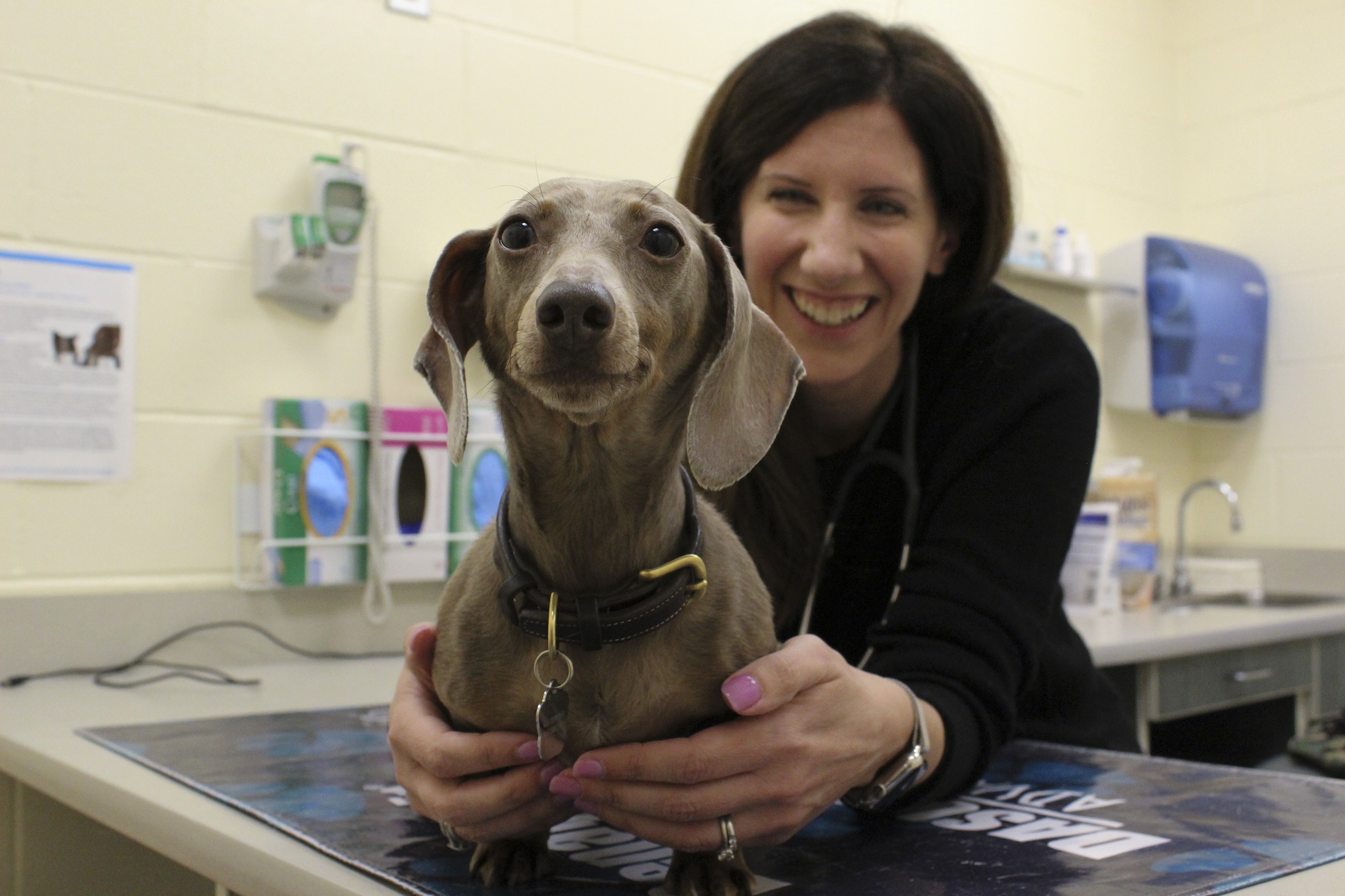 MSPCA-Angell cover image
