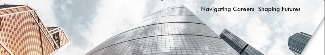 New Millenium Consulting cover image