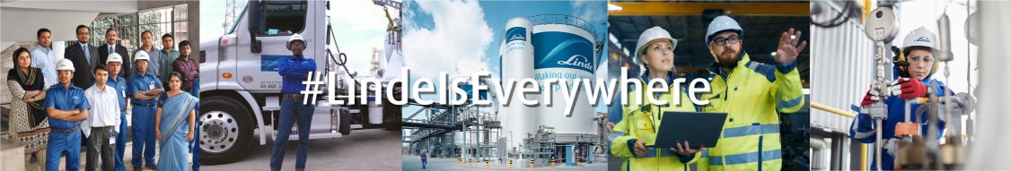 Linde cover image