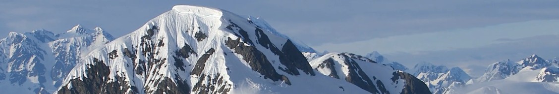 Ascent Investment Partners cover image