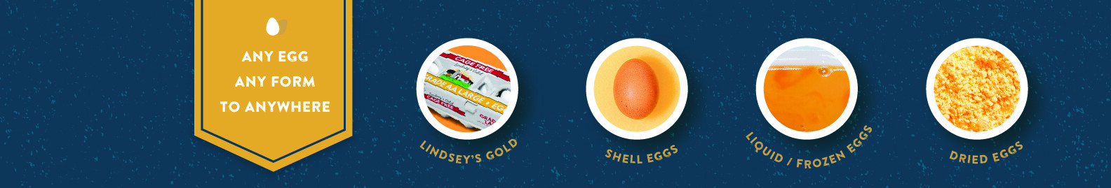 Eggs Unlimited cover image