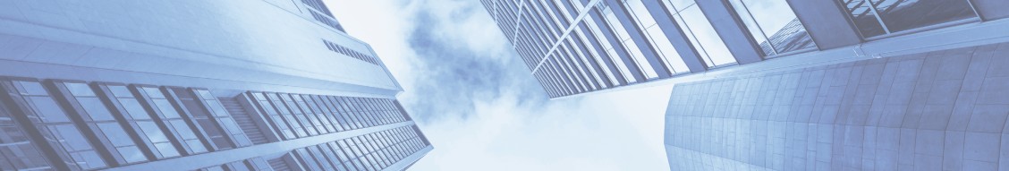 Moelis & Company cover image