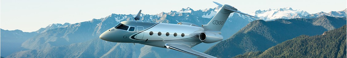Gulfstream Aerospace cover image