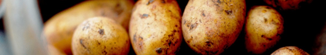 Reser's Fine Foods cover image