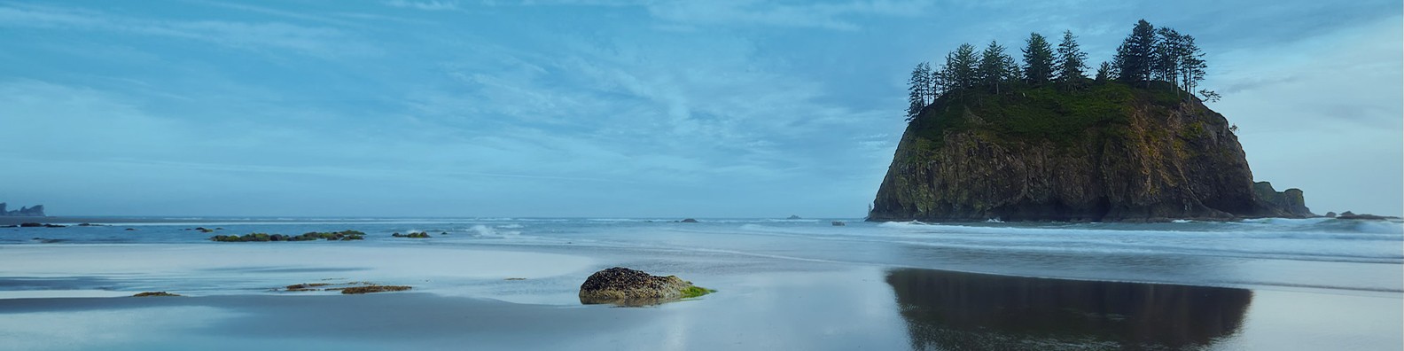 PACIFICA LAW GROUP LLP cover image