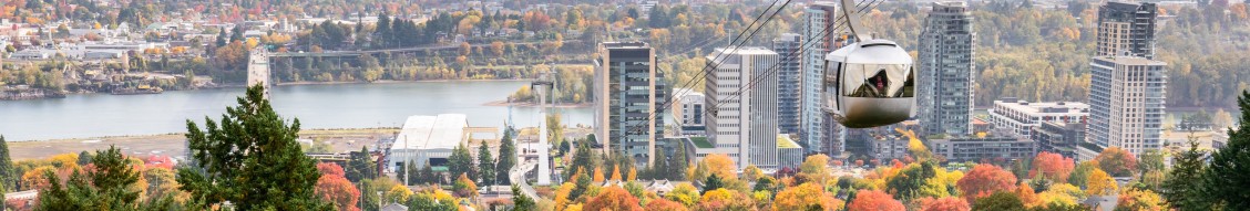 Oregon Health & Science University Foundation cover image