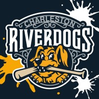 Charleston RiverDogs logo