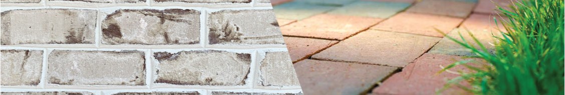 Pine Hall Brick cover image