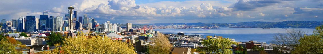 City of Seattle cover image