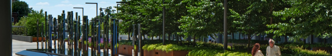 HLW cover image