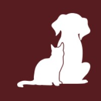 The Dog Haus logo