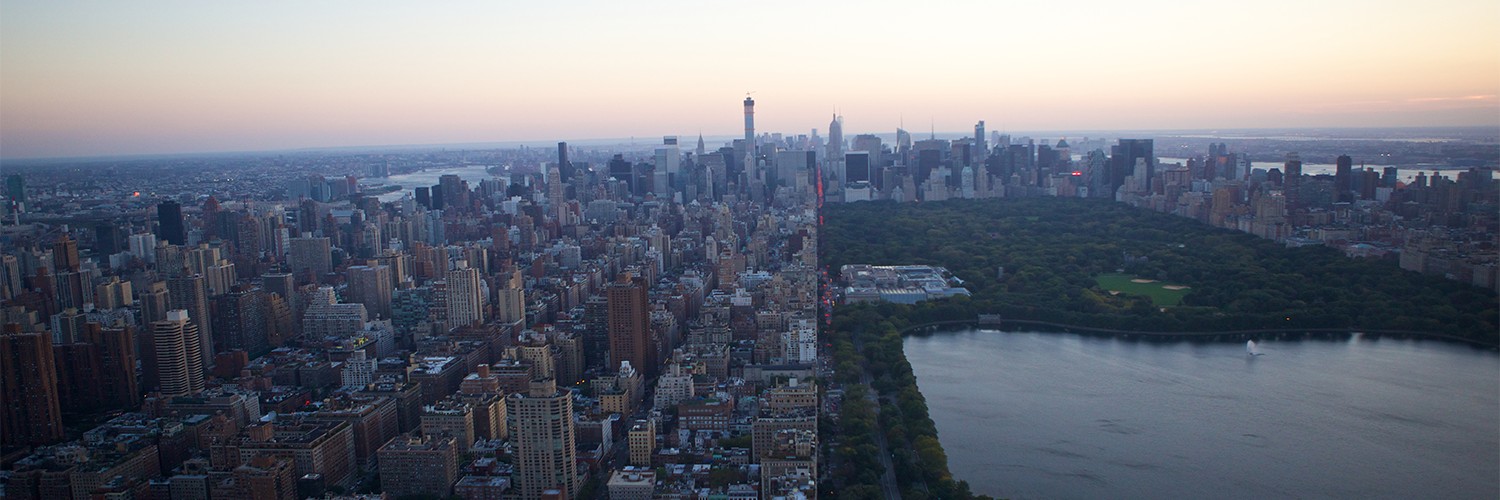 The Mount Sinai Hospital cover image