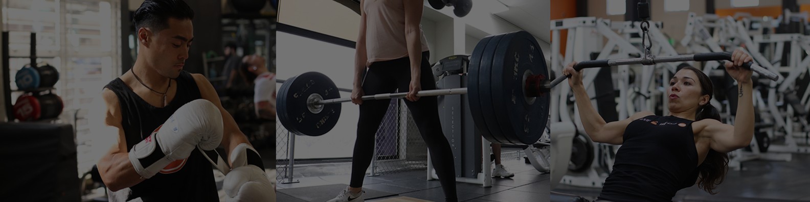 FITNESS SF cover image