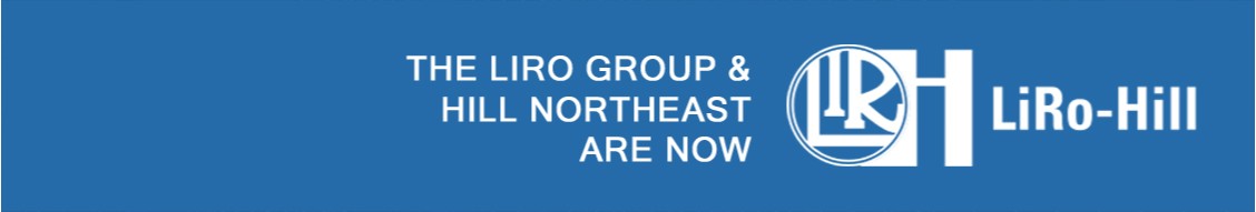 The LiRo Group cover image