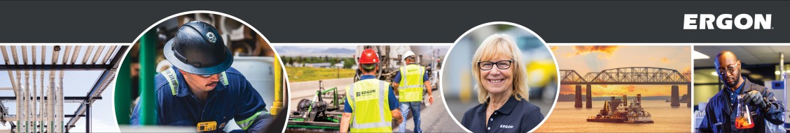 Ergon Inc. cover image