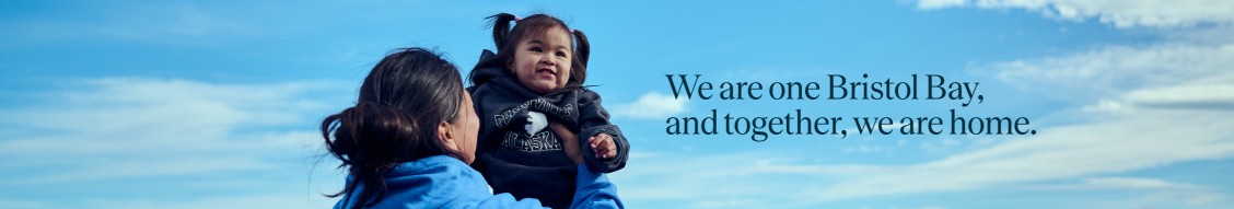 Bristol Bay Native Corporation cover image
