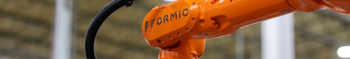 Formic cover image