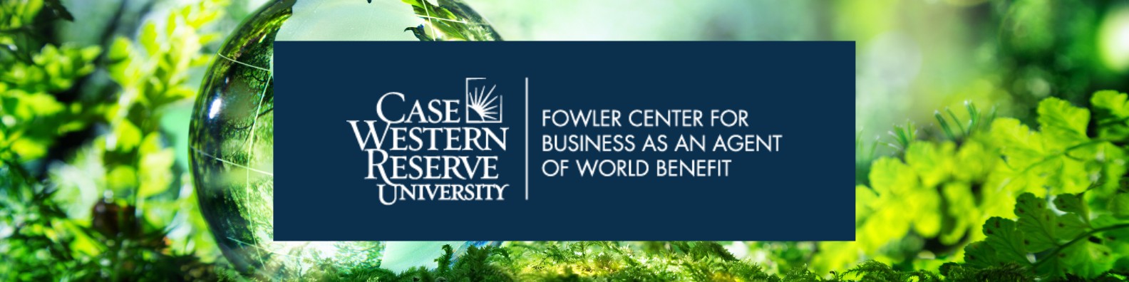 Fowler Center for Business as an Agent of World Benefit cover image