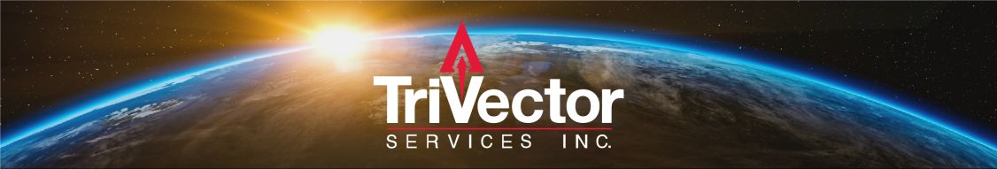 TriVector Services, Inc. cover image