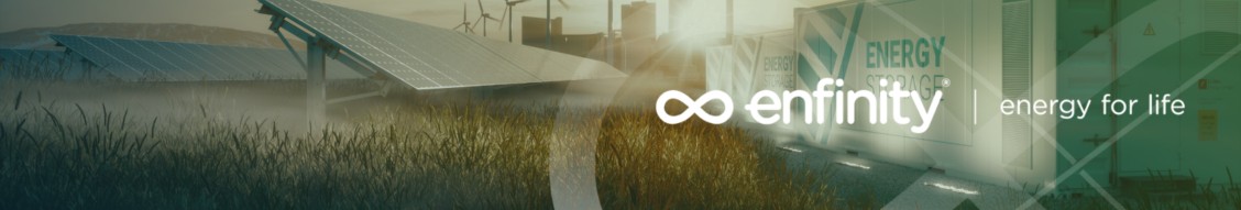 Enfinity Global cover image
