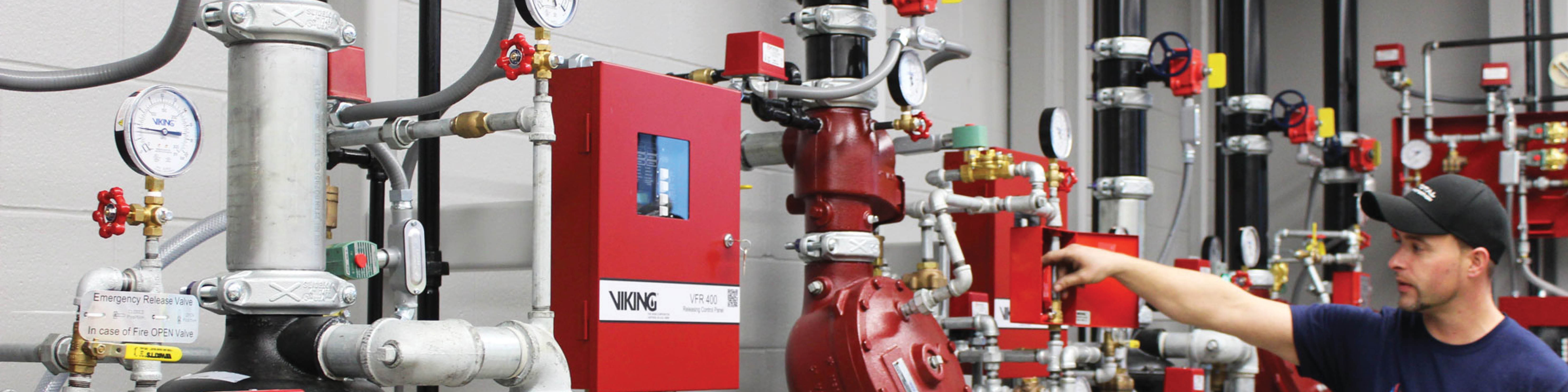 Viking Group, Inc. cover image