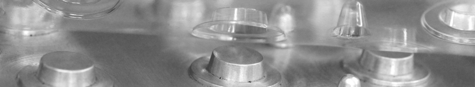 Brentwood Industries, Inc. cover image