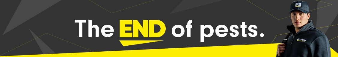 Pest-End cover image