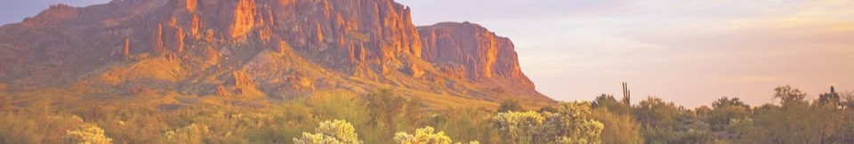 Pinal County cover image