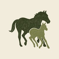 Plum Creek Recovery Ranch logo