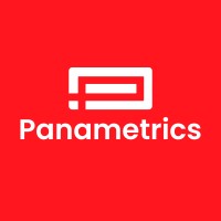 Panametrics logo