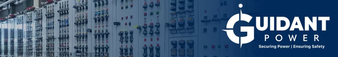 Guidant Power cover image