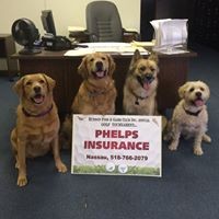 Phelps Insurance Agency logo