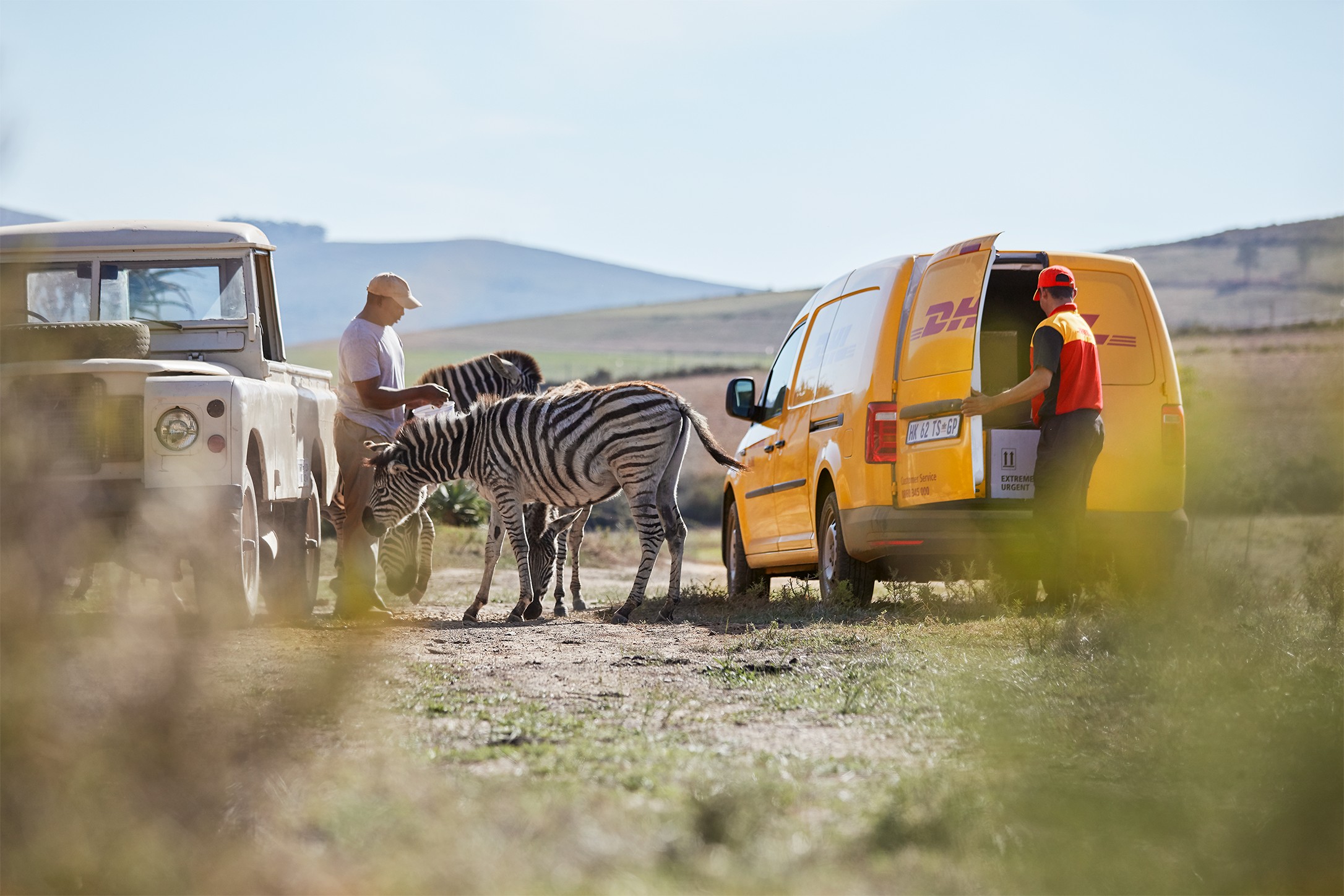 DHL cover image