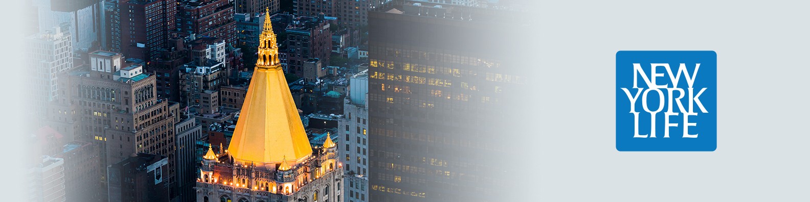 New York Life - Long Island cover image