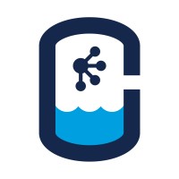 Cryogenic Industrial Solutions logo