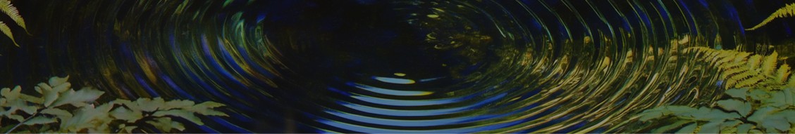 Perplexity cover image