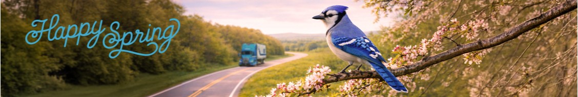 Marten Transport cover image