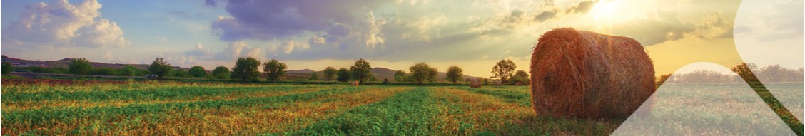 AgFirst Farm Credit Bank cover image