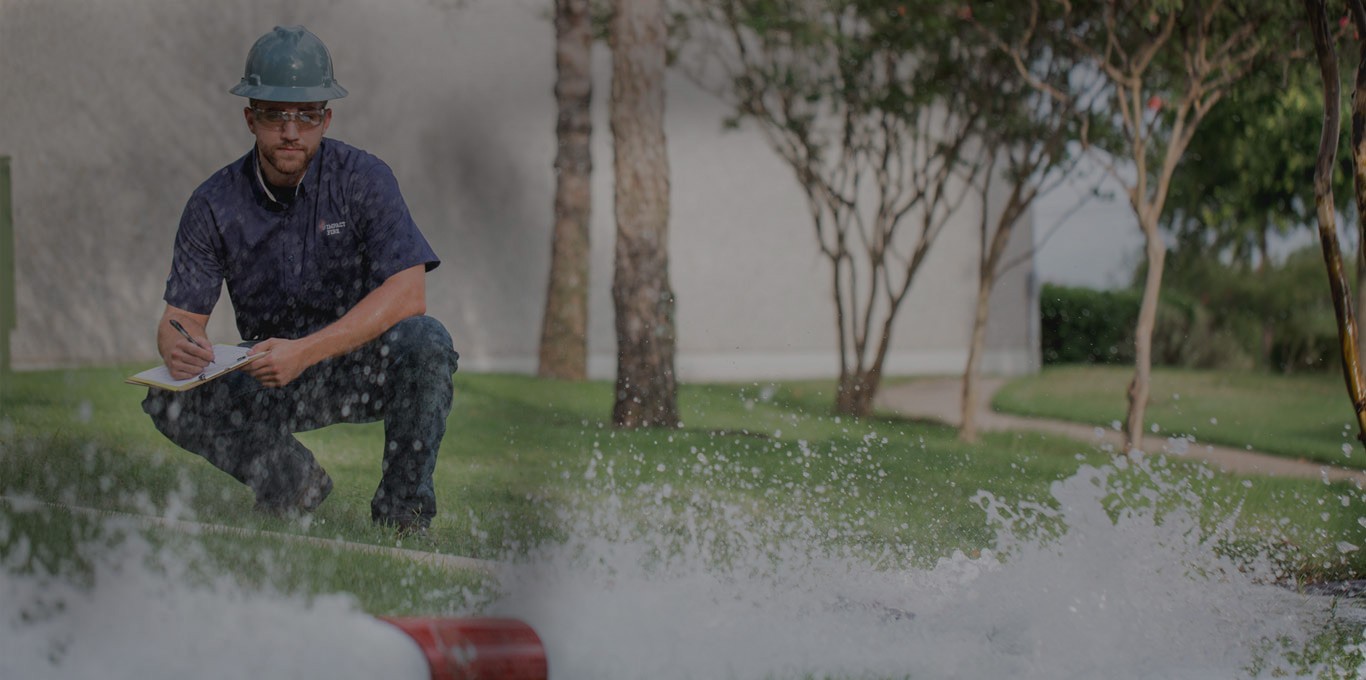 Impact Fire Services cover image