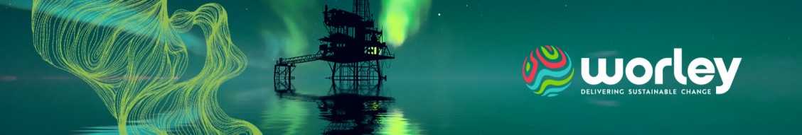 Worley cover image