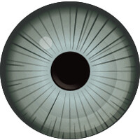 Forefront Eye Care logo