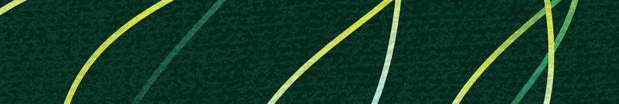 SECAC cover image