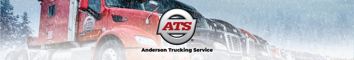 Anderson Trucking Service cover image
