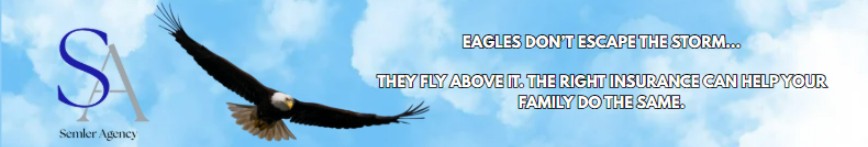 The Semler Agency SFG cover image