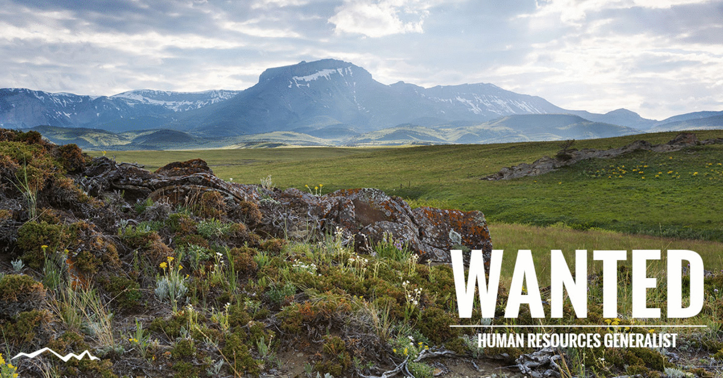 North 40 Outfitters - CSWW, Inc. cover image